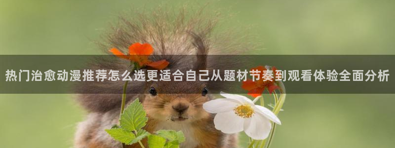 age 动漫在哪下载:热门治愈动漫推荐怎么选更适合自己从题材节奏到观看体验全面分析配图