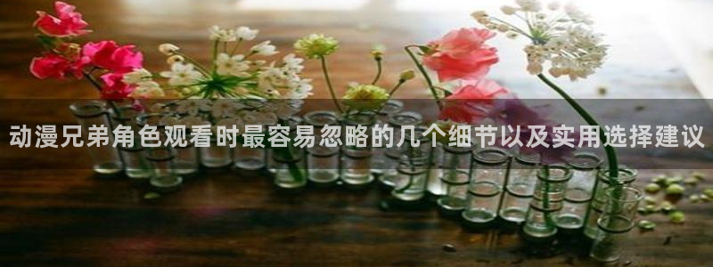 age下载动漫ios：动漫兄弟角色观看时最容易忽略的几个细节以及实用选择建议配图