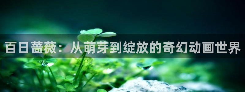 age动漫屋下载：百日蔷薇：从萌芽到绽放的奇幻动画世界配图